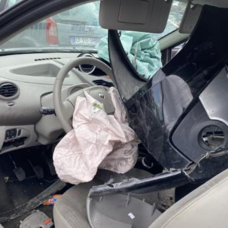 Poignee interieur avant gauche RENAULT TWINGO 2 Photo n°20