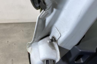 Malle/Hayon arriere RENAULT CLIO 4