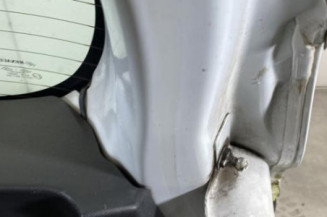 Malle/Hayon arriere RENAULT CLIO 4