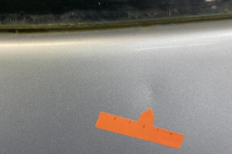 Porte laterale gauche PEUGEOT PARTNER 1