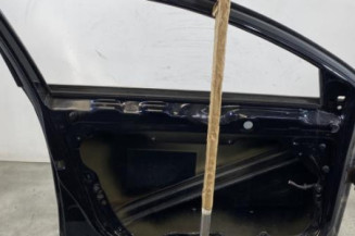 Porte avant gauche VOLKSWAGEN PASSAT 5