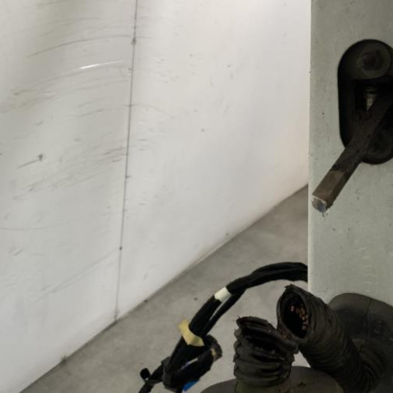 Porte avant gauche RENAULT MASTER 3 Photo n°5