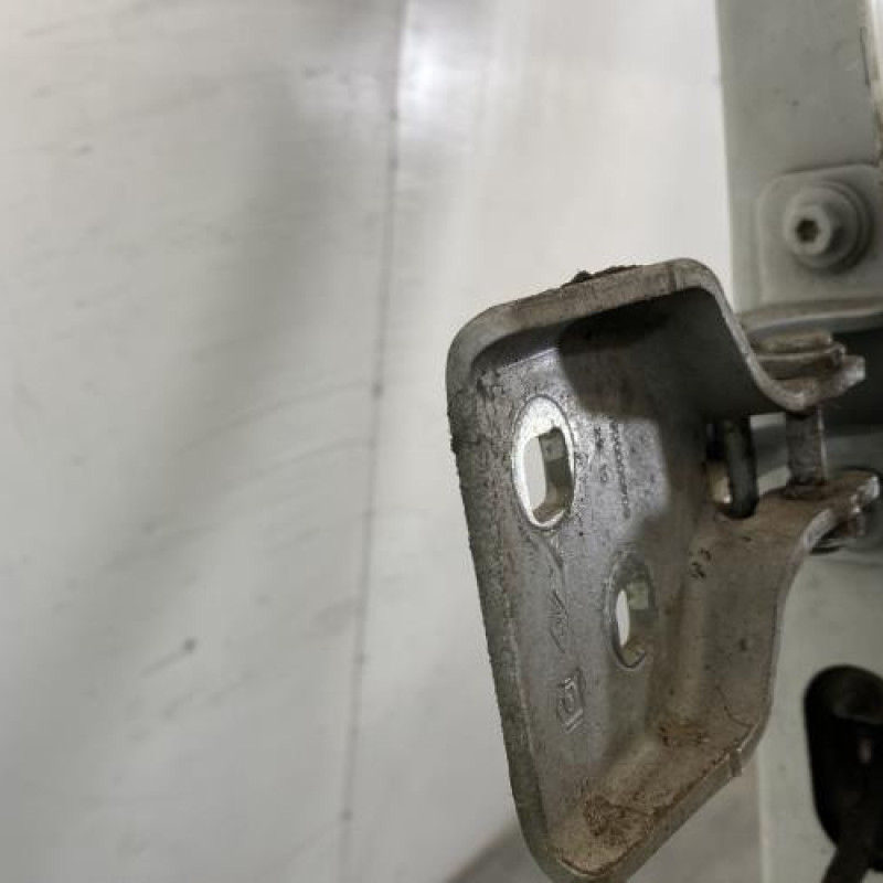 Porte avant gauche RENAULT MASTER 3 Photo n°6
