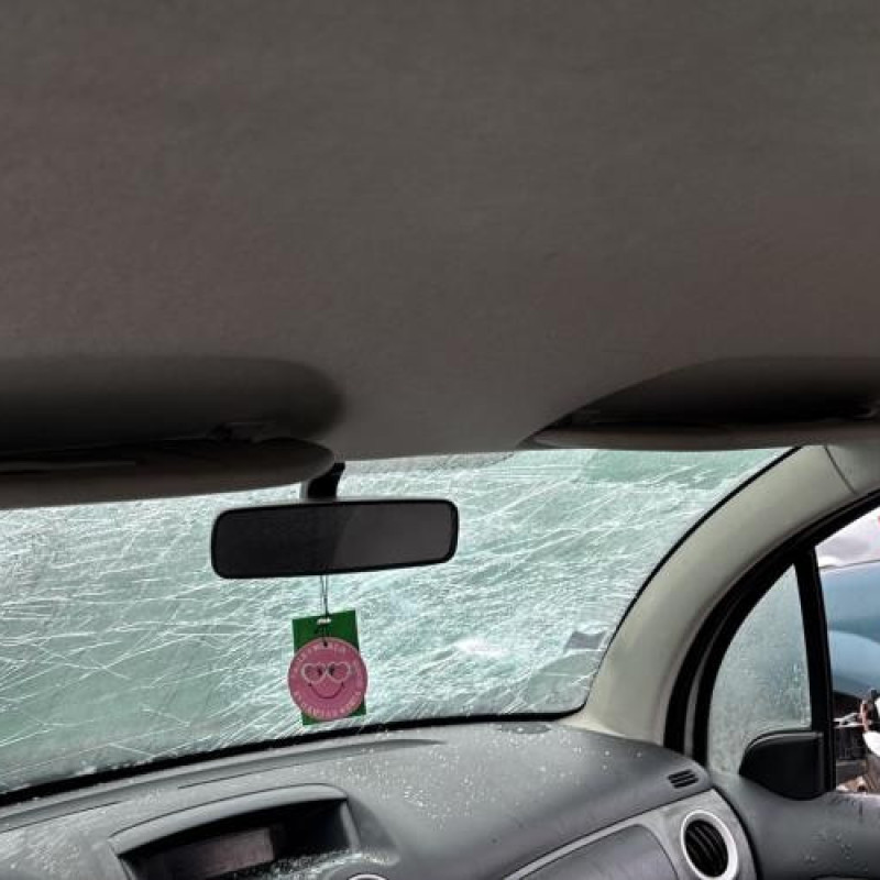 Tambour arriere droit CITROEN C3 1 Photo n°16