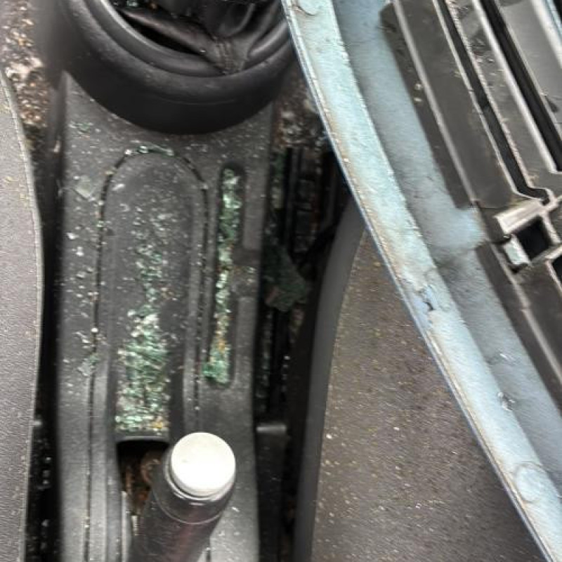 Tambour arriere droit CITROEN C3 1 Photo n°18