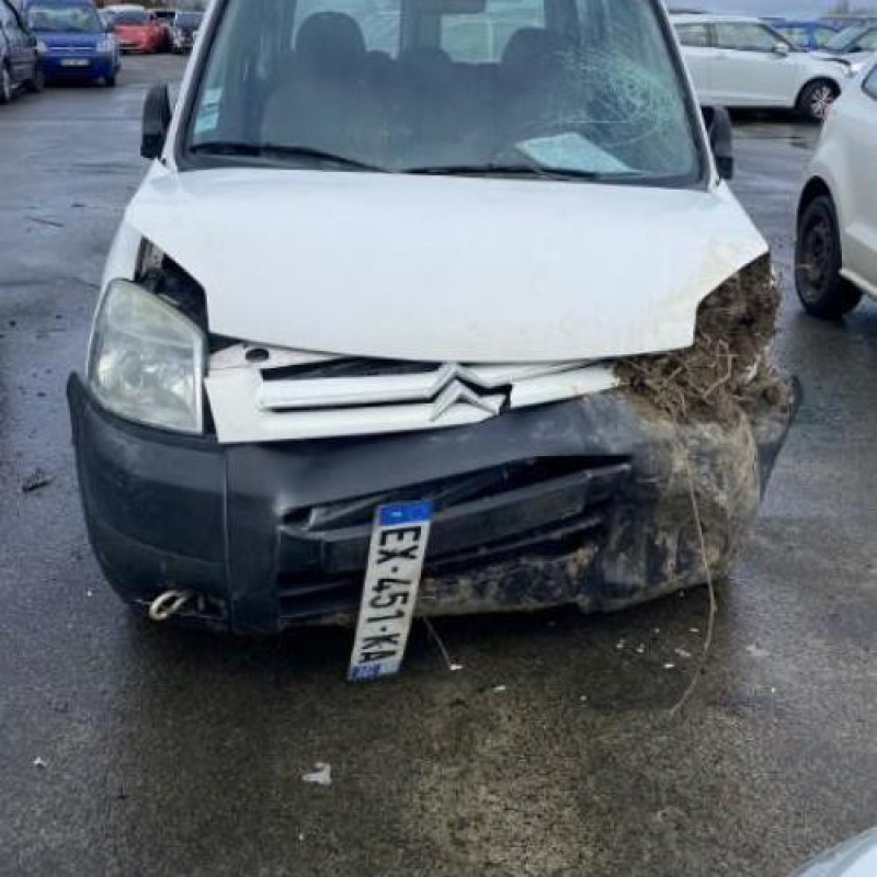 Porte de coffre gauche CITROEN BERLINGO 1 Photo n°10