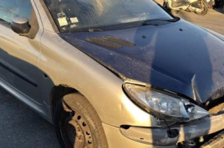 Boitier BSI PEUGEOT 206
