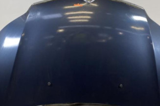 Capot CITROEN C4 1 Photo n°1