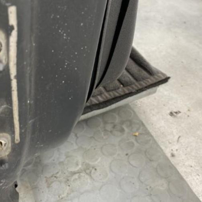 Porte avant droit DACIA SANDERO 1 Photo n°8