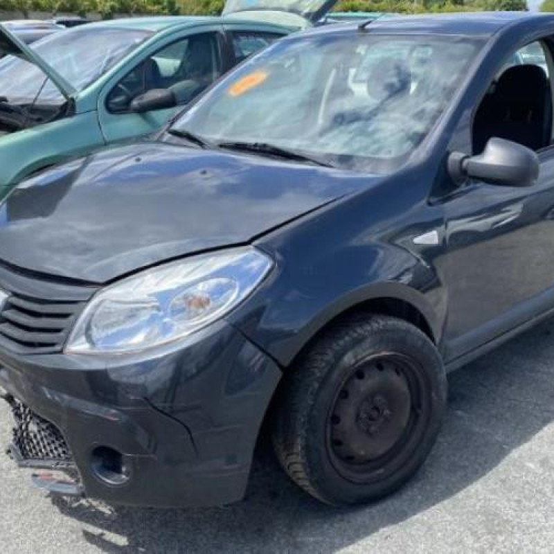 Porte avant droit DACIA SANDERO 1 Photo n°10