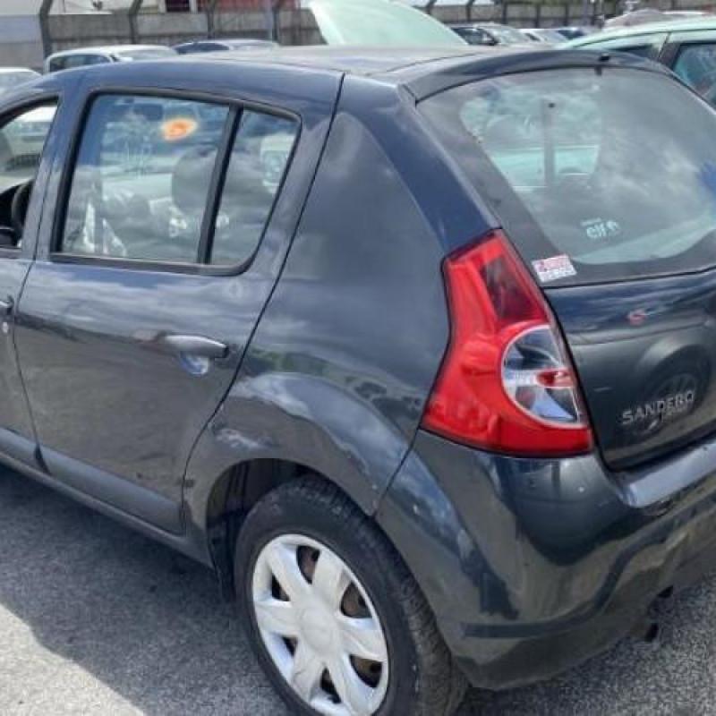 Porte avant droit DACIA SANDERO 1 Photo n°13