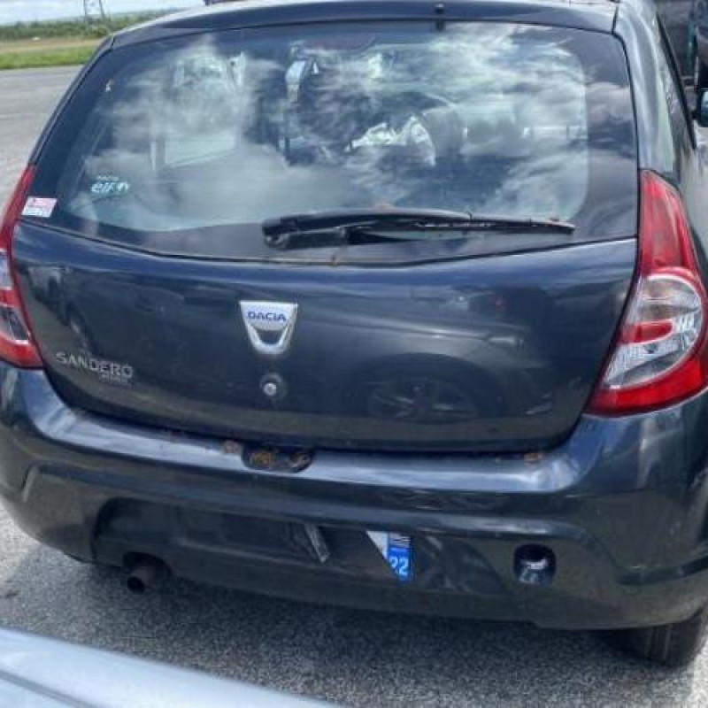 Porte avant droit DACIA SANDERO 1 Photo n°14