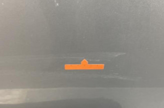Porte avant gauche CITROEN C4 1