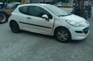 Cremaillere assistee PEUGEOT 207