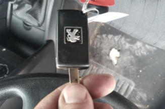 Cremaillere assistee PEUGEOT 207