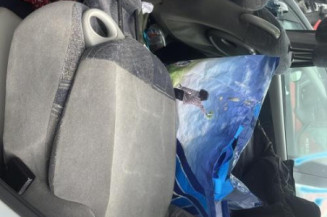 Jante RENAULT SCENIC 1
