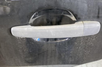 Porte arriere gauche CITROEN C3 1