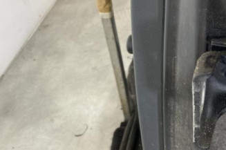 Porte arriere gauche CITROEN C3 1