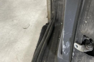 Porte arriere gauche CITROEN C3 1