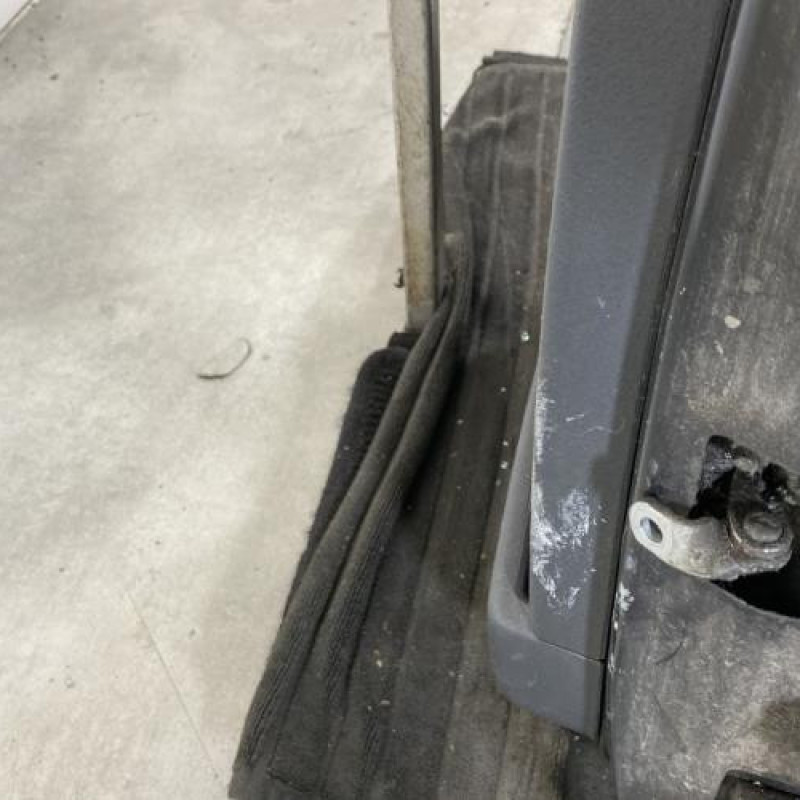 Porte arriere gauche CITROEN C3 1 Photo n°5