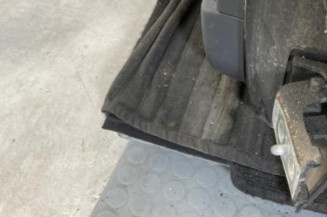 Porte arriere gauche CITROEN C3 1