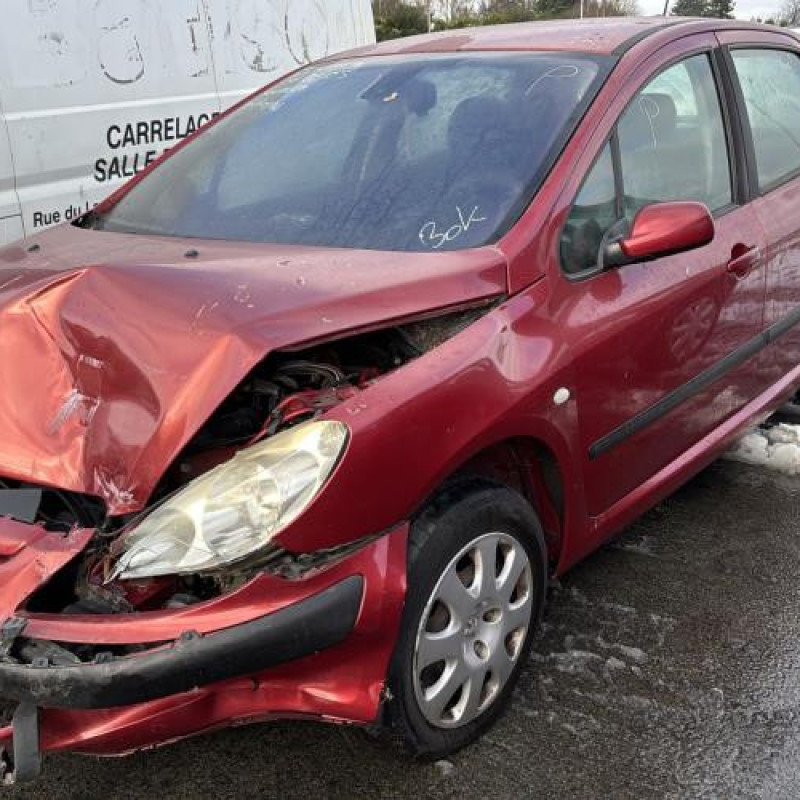 Porte arriere droit PEUGEOT 307 Photo n°10