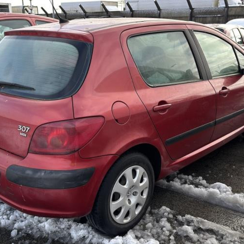 Porte arriere droit PEUGEOT 307 Photo n°12
