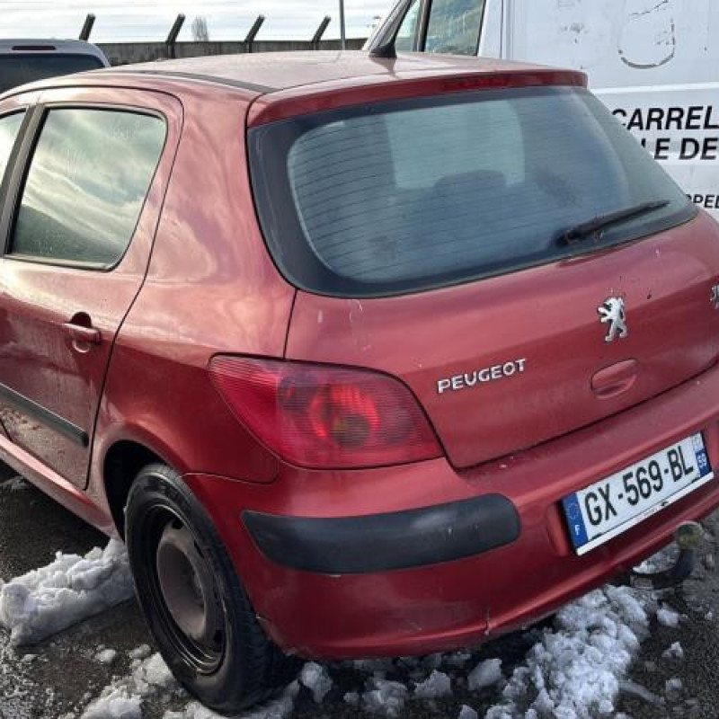 Porte arriere droit PEUGEOT 307 Photo n°13
