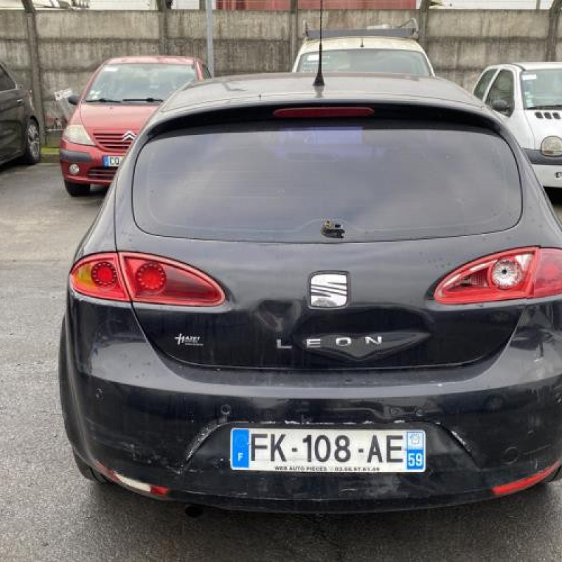 Porte avant gauche SEAT LEON 2 Photo n°10
