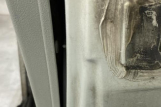 Porte avant gauche RENAULT SCENIC 1