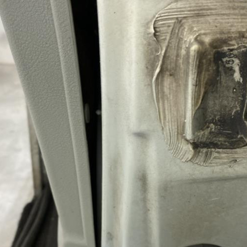 Porte avant gauche RENAULT SCENIC 1 Photo n°5