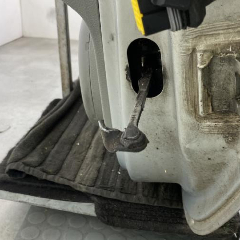 Porte avant gauche RENAULT SCENIC 1 Photo n°6