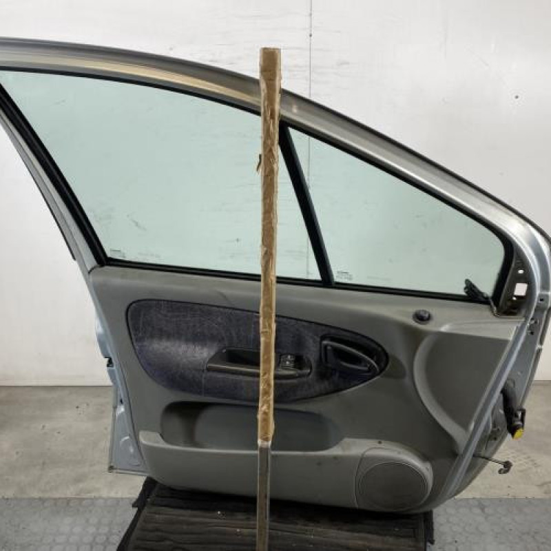 Porte avant gauche RENAULT SCENIC 1 Photo n°7