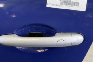 Porte avant gauche RENAULT SCENIC 2