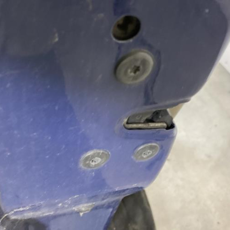 Porte avant gauche RENAULT SCENIC 2 Photo n°3