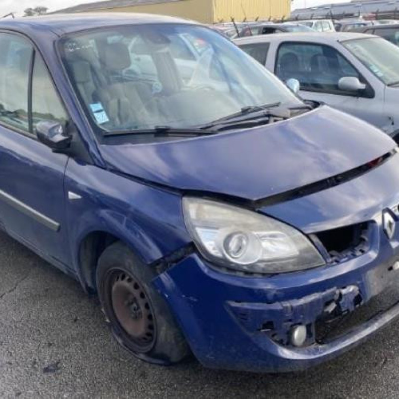Porte avant gauche RENAULT SCENIC 2 Photo n°8