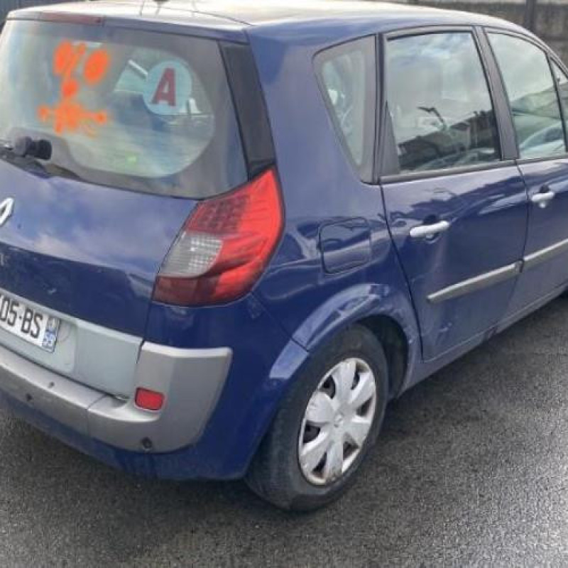 Porte avant gauche RENAULT SCENIC 2 Photo n°9