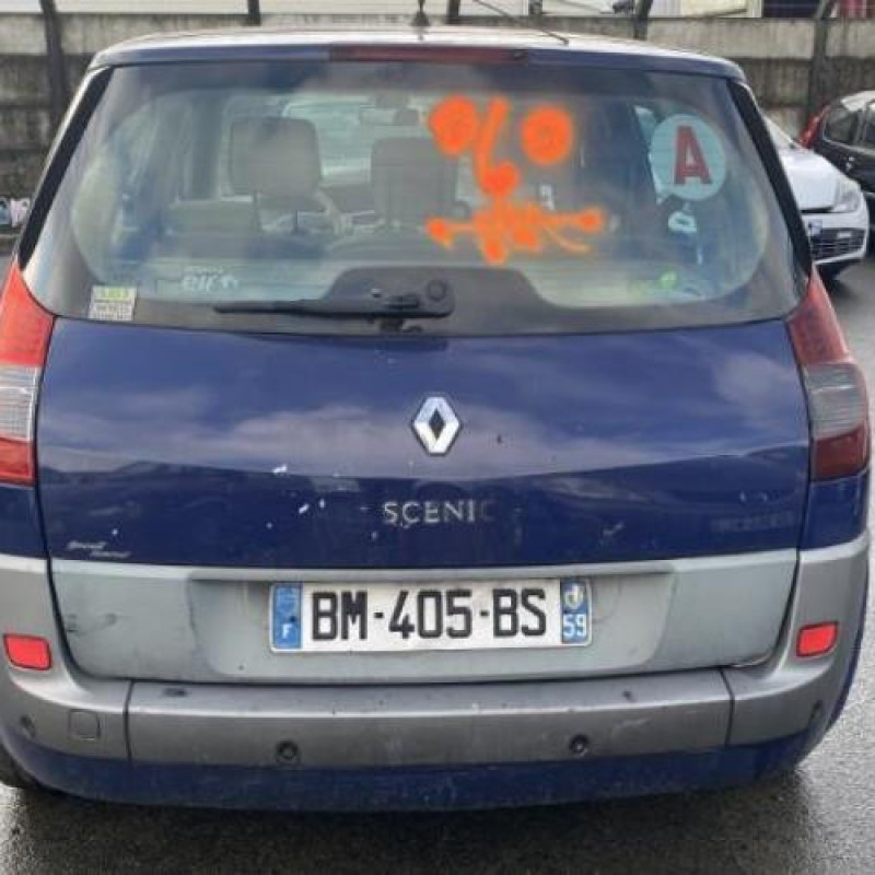 Porte avant gauche RENAULT SCENIC 2 Photo n°11