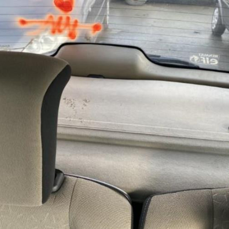 Porte avant gauche RENAULT SCENIC 2 Photo n°19