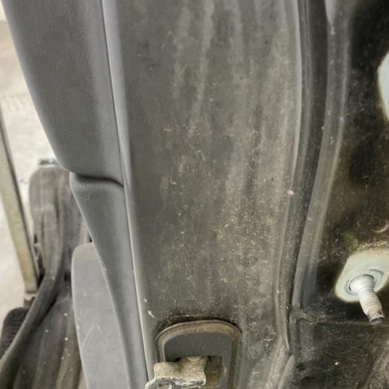 Porte arriere gauche NISSAN QASHQAI 1 Photo n°4