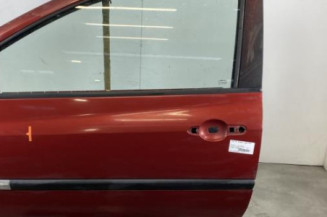 Porte avant gauche RENAULT CLIO 3 Photo n°1