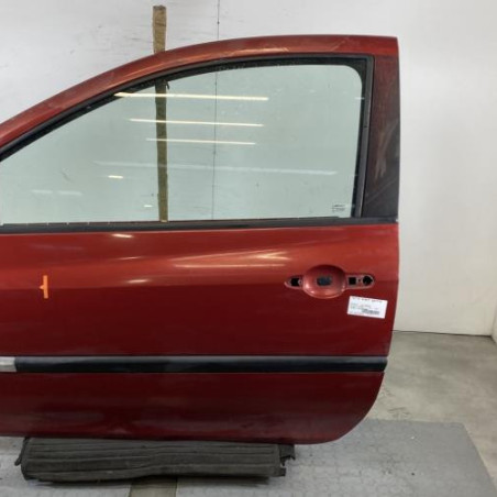 Porte avant gauche RENAULT CLIO 3 Photo n°1