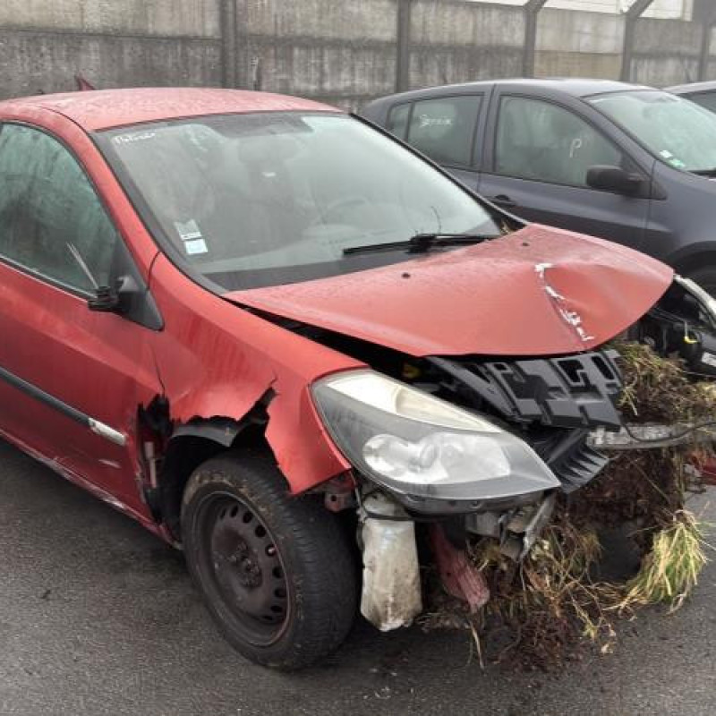 Porte avant gauche RENAULT CLIO 3 Photo n°7