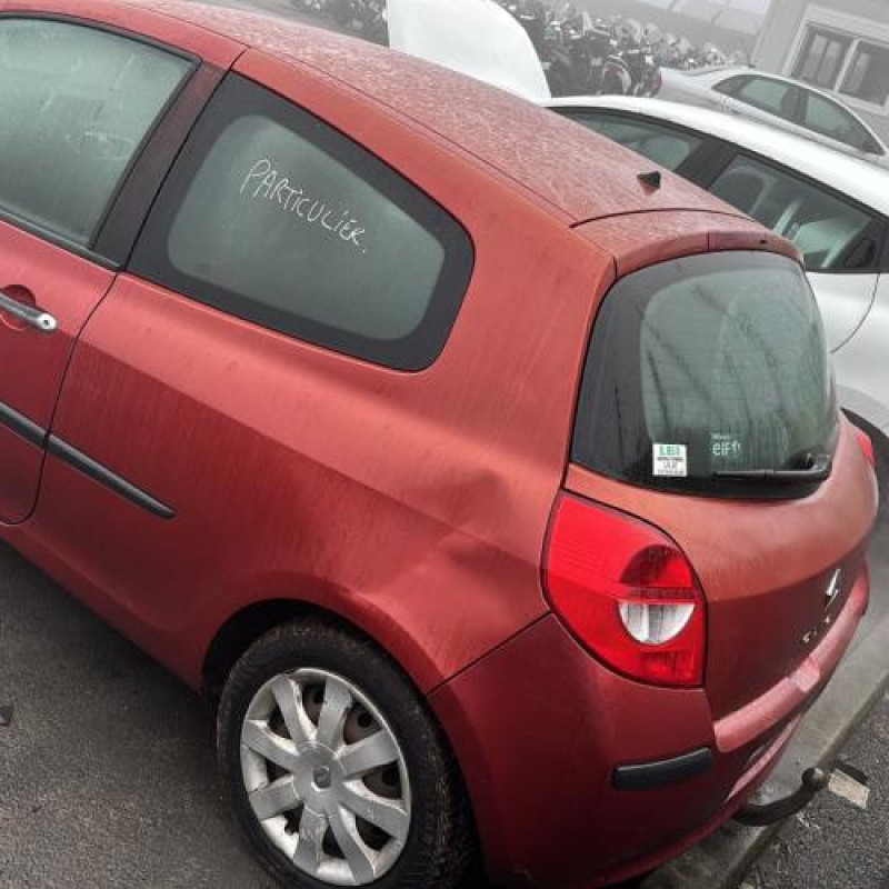 Porte avant gauche RENAULT CLIO 3 Photo n°9