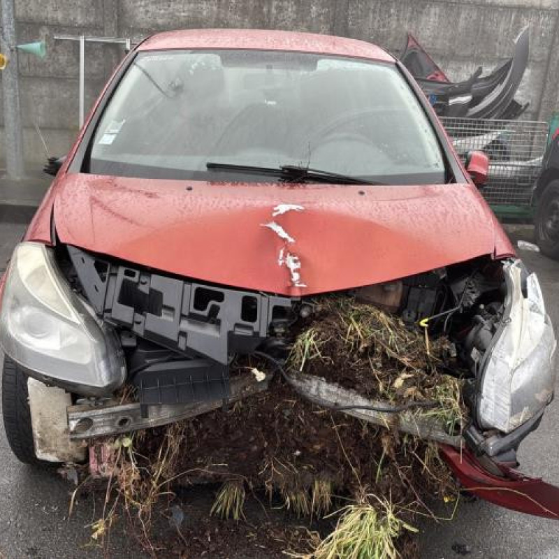 Porte avant gauche RENAULT CLIO 3 Photo n°13