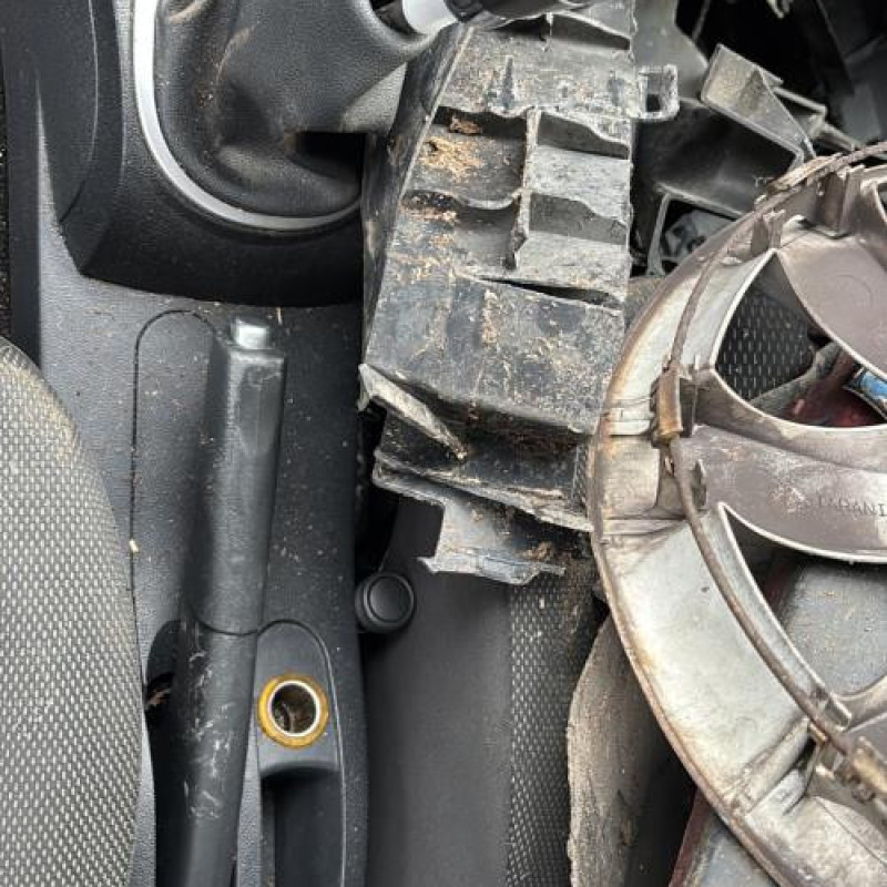 Porte avant gauche RENAULT CLIO 3 Photo n°18