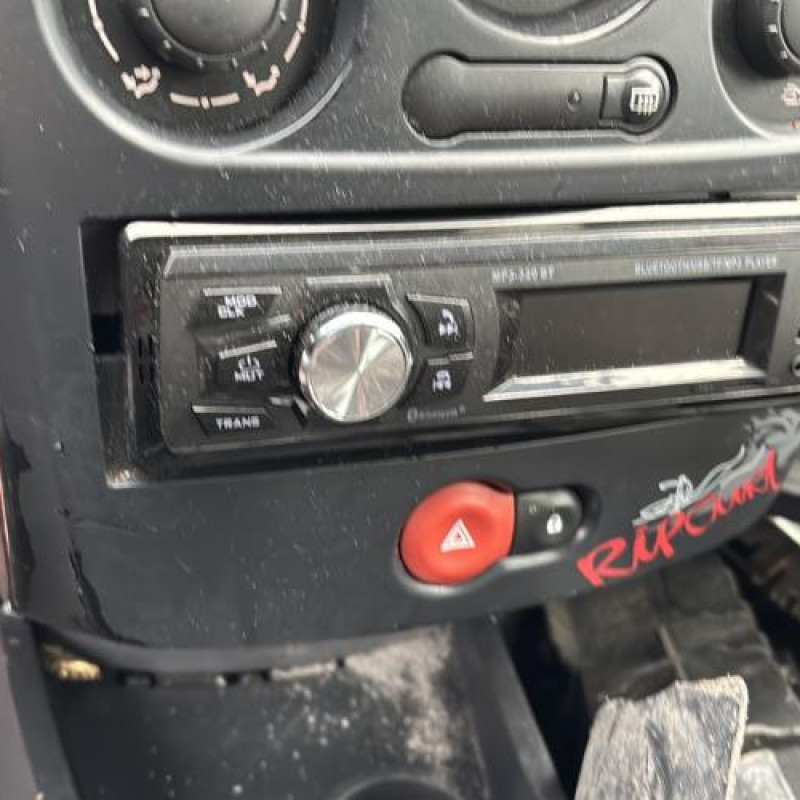 Porte avant gauche RENAULT CLIO 3 Photo n°19