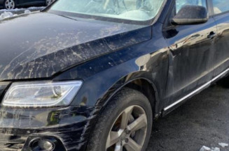 Poignee interieur avant gauche AUDI Q5 1