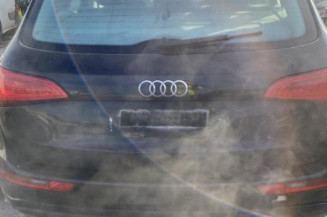 Poignee interieur avant gauche AUDI Q5 1