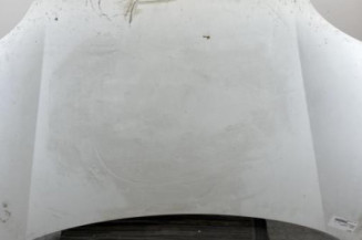 Capot RENAULT KANGOO 1 Photo n°1